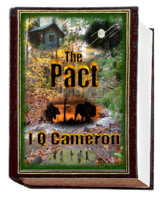 New Novel - The Pact